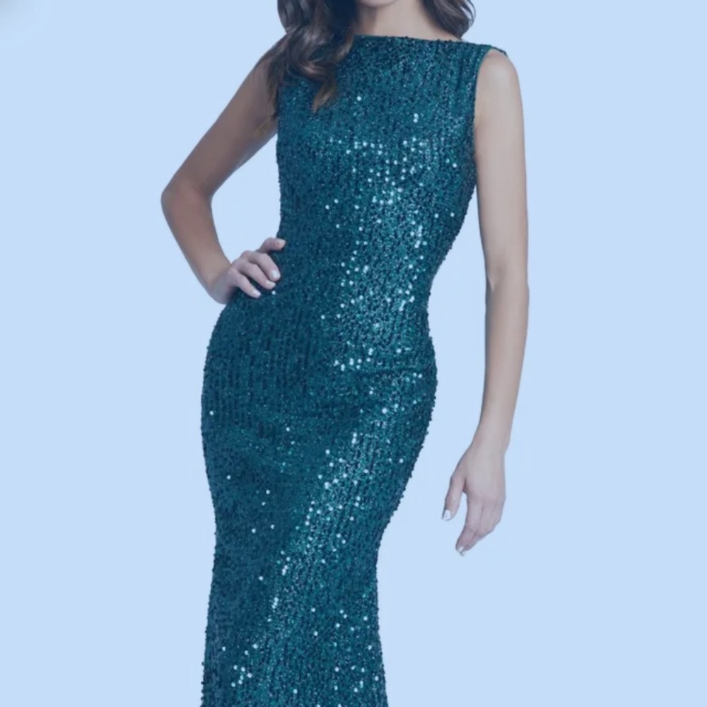 Brand new mother of the bride/ wedding guest formal even gown.